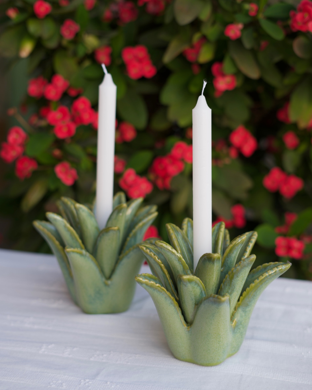 Candelabro Aloe Vera