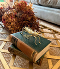 Insectos Decoración Saltamontes