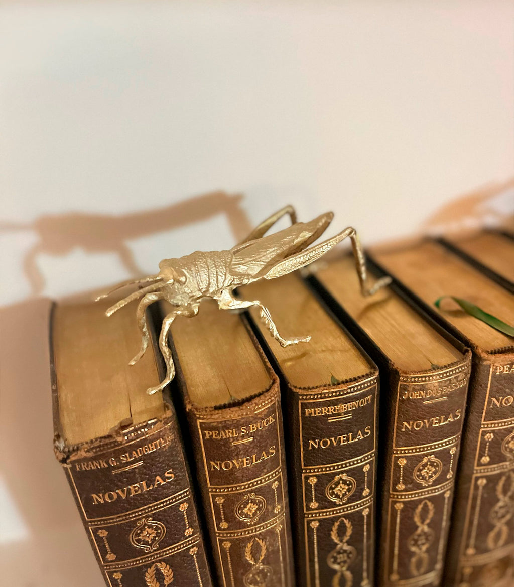 Insectos Decoración Saltamontes