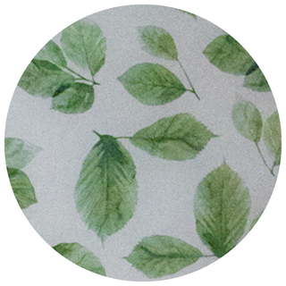Verde Pasión