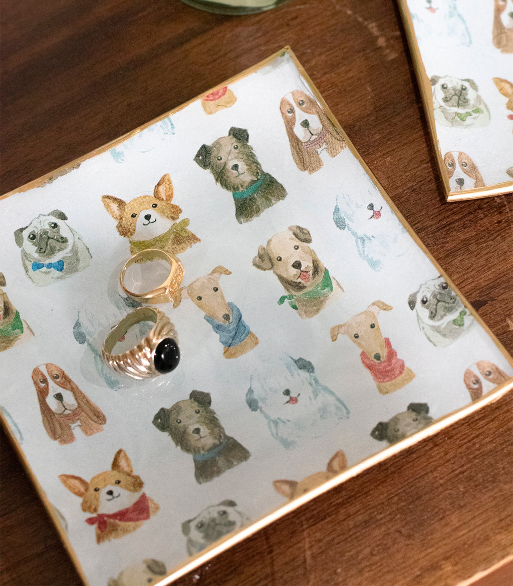 Vaciabolsillos Perritos
