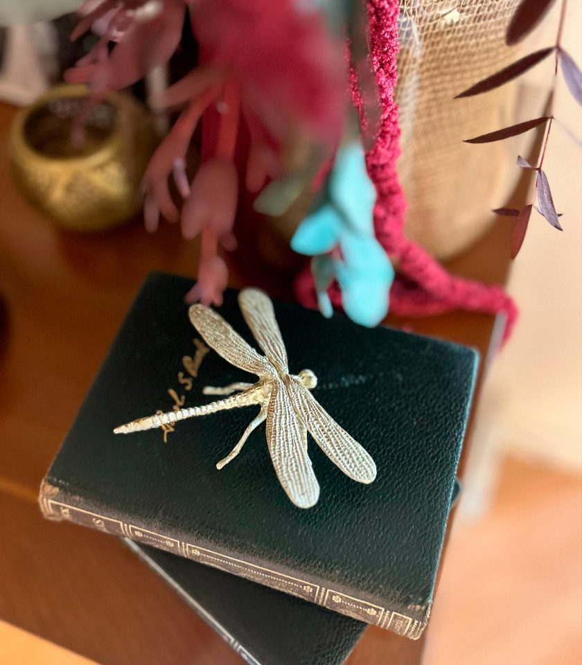 Insecto libelula4 | La Mela Deco