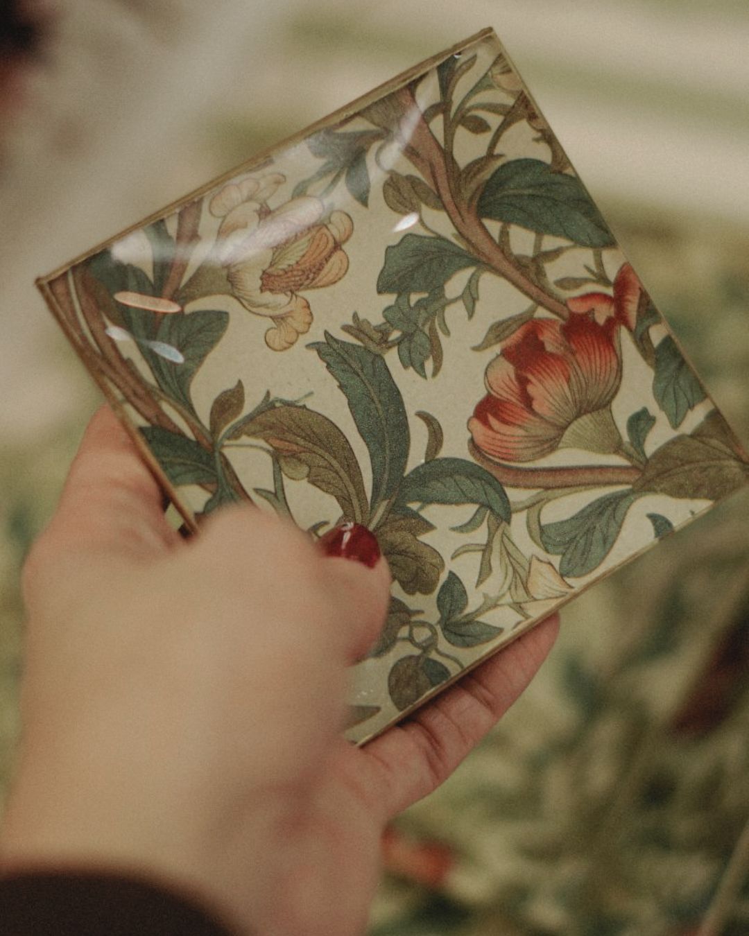 Platitos Cuadrados Pan Alicia